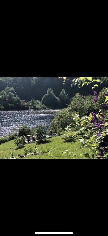 Glamping On Idyllic Lake, Paddle Boards & Rowboat Porsgrunn Exteriér fotografie